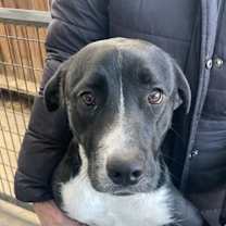 Thumbnail photo of Babe #1