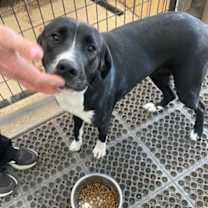 Thumbnail photo of Babe #2