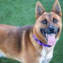 Thumbnail photo of Spicoli #2