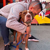 Thumbnail photo of Getty 13591 #2