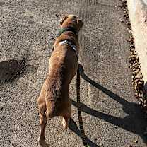 Thumbnail photo of Kinkade 13592 #2