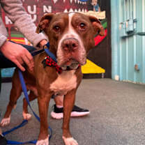 Thumbnail photo of Getty 13591 #3