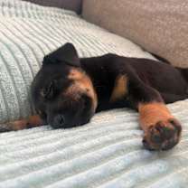 Thumbnail photo of Elli #3