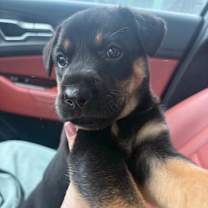 Thumbnail photo of Elli #4