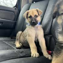 Thumbnail photo of Cody #1