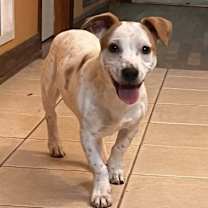 Thumbnail photo of courage #3