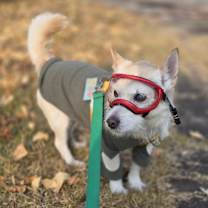 Thumbnail photo of Mikko #2