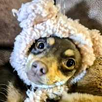 Thumbnail photo of Ruby Sue #1