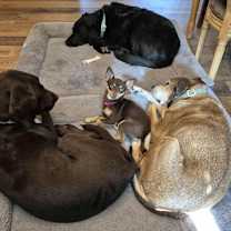 Thumbnail photo of Ruby Sue #4