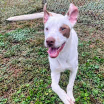 Thumbnail photo of Carlos #4