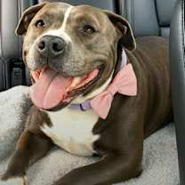 Thumbnail photo of Remi #3