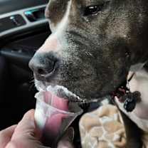 Thumbnail photo of Remi #4