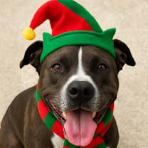 Thumbnail photo of Remi #1