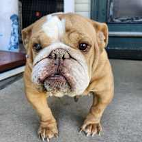 Thumbnail photo of Charlene #1