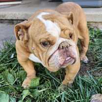 Thumbnail photo of Charlene #2