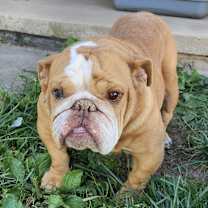 Thumbnail photo of Charlene #3