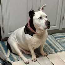 Thumbnail photo of Dixie Lynn #4