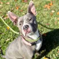 Thumbnail photo of Luna #3