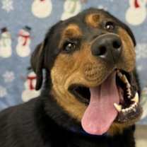 Thumbnail photo of Bear #2