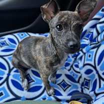 Thumbnail photo of Mae #4