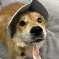 Thumbnail photo of Mooha #2