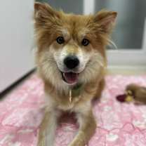 Thumbnail photo of Mooha #1