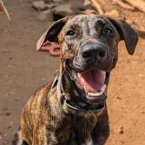 Thumbnail photo of Tokyo - Money Heist Litter #2