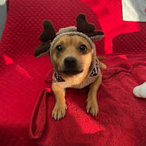 Thumbnail photo of Friend #1