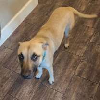 Thumbnail photo of Zelie JuM #3