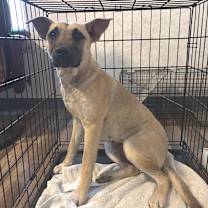 Thumbnail photo of Zelie JuM #2