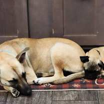 Thumbnail photo of Zelie JuM #4