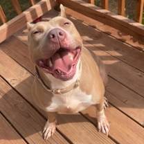 Thumbnail photo of Tunisia #1