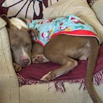 Thumbnail photo of Tunisia #3