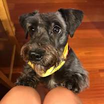 Thumbnail photo of Isa #1