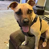 Thumbnail photo of Lila #2