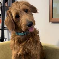 Thumbnail photo of Jewel #1