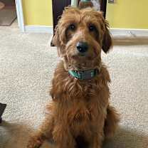 Thumbnail photo of Jewel #2