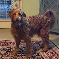 Thumbnail photo of Jewel #3