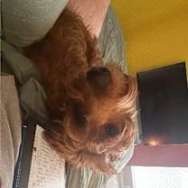 Thumbnail photo of Jewel #4