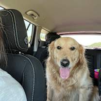 Thumbnail photo of Arlie #4