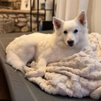 Thumbnail photo of Princess of Lake City Fl #4