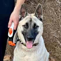 Thumbnail photo of Titus #1