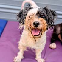 Thumbnail photo of Panera Bread #1