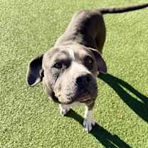 Thumbnail photo of Luna #2