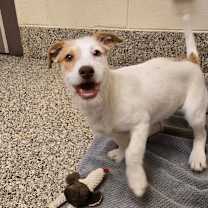 Thumbnail photo of Jelly #1