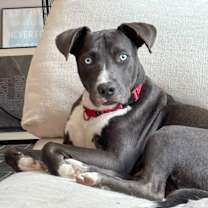 Thumbnail photo of Grayson #2