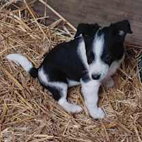 Thumbnail photo of Ethan #1