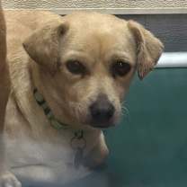 Thumbnail photo of GUCCI #2