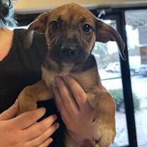 Thumbnail photo of Ziti #2