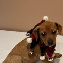 Thumbnail photo of Halo #3